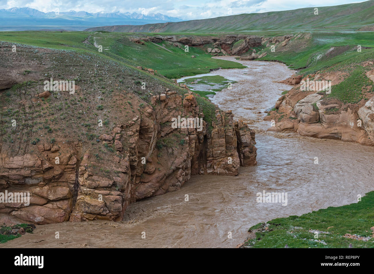 Rivière de montagne boueuse en passant par une gorge sauvage, province de Naryn, Kirghizistan Banque D'Images