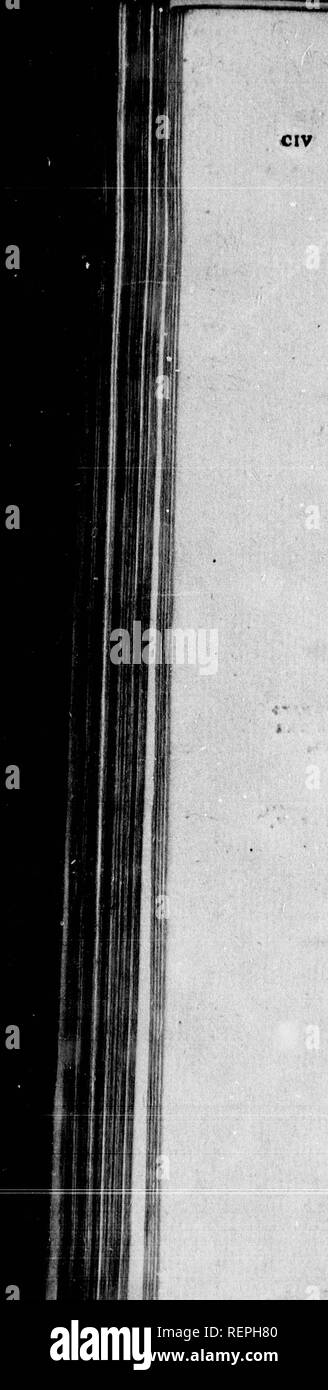 . Introduction à la zoologie de l'Arctique [microform]. Zoologie Zoologie ;. GUJLPH-flux. ingp au large du cap Cannaveral sont très fteep et incertaine, comme l'eau (hal- bas, que de rapides fo quarante brasses, il sera immédiatement leffen à quinze, et de celle de quatre, ou j lefs fo diat, sans beaucoup de soin, un fhip peut être dans quelques minutes sur fhore. Il obferved, qu'être inscrivez, le notwithftanding ftream-gulph faid est en général de commencer là où la fondation fin, pourtant son in- fluence s'étend dans les ligues feveral ; maîtrise et veffels trouvent souvent un courant à l'confiderable fetting vers le nord le long de la c Banque D'Images