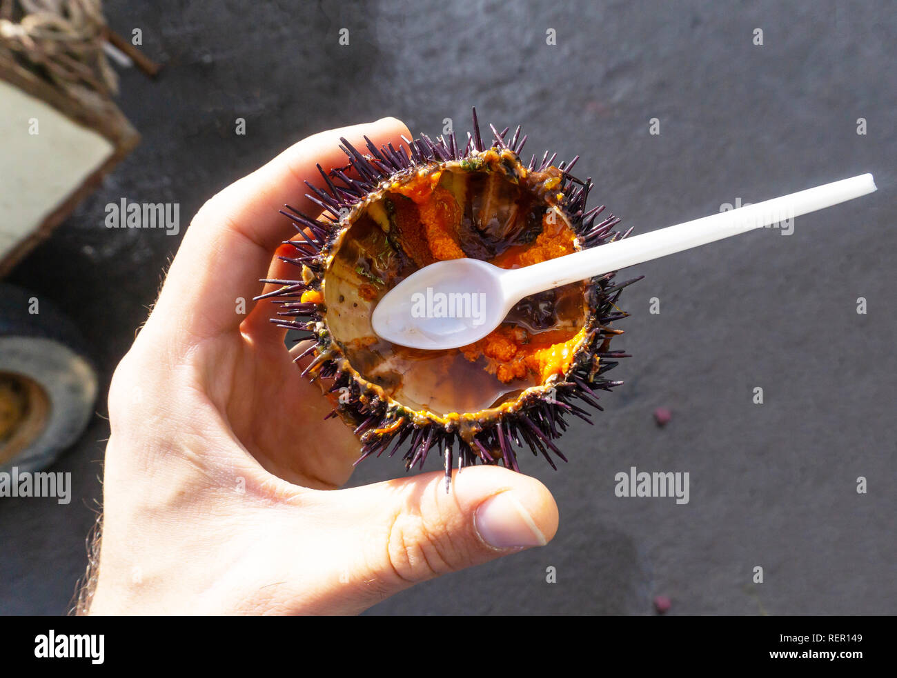 Avec Caviar D Oursin De Mer Avant De Manger Des Fruits De Mer Sur Le Marche De La Peche De L Ocean Photo Stock Alamy