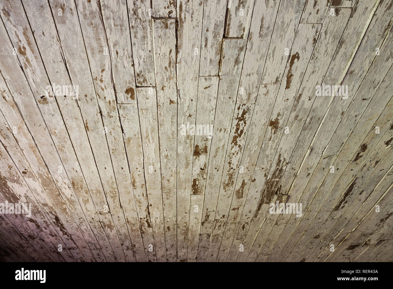 Close-up of a disparu en bois peint blanc plafond revêtus avec les tâches d'eau à l'intérieur une vieille grange Banque D'Images