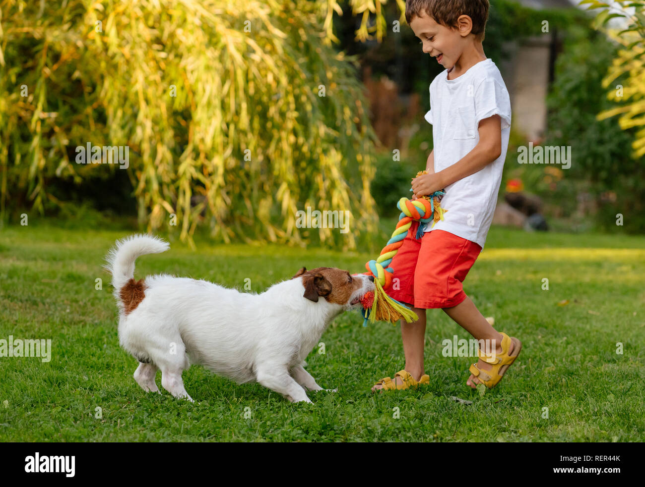 Heureux rire kid Garçon jouant avec son chien tirant la corde de coton doggy toy Banque D'Images