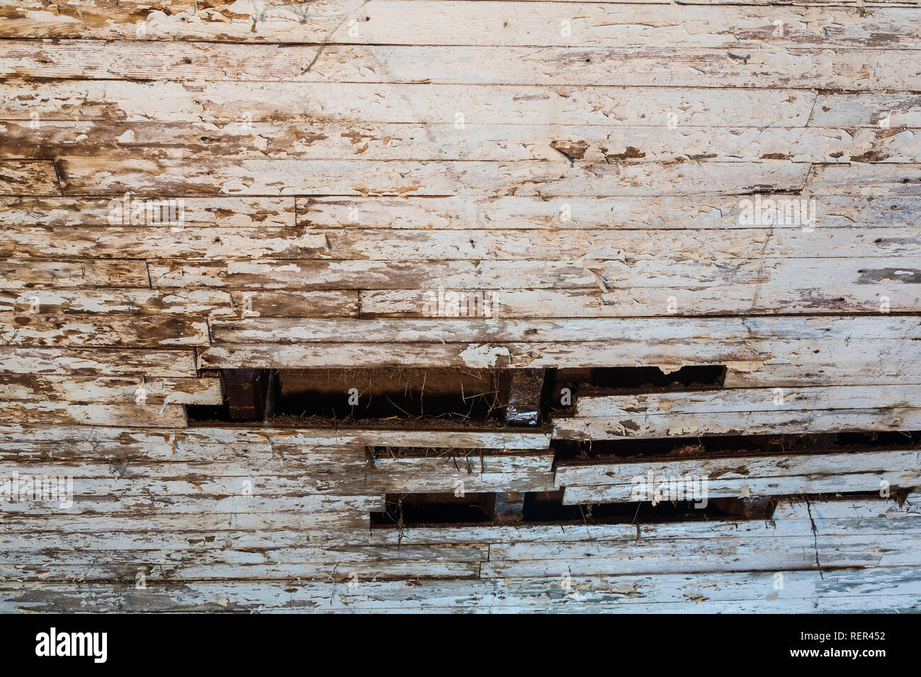 Close-up of a disparu en bois peint blanc plafond revêtus avec les tâches d'eau à l'intérieur une vieille grange Banque D'Images