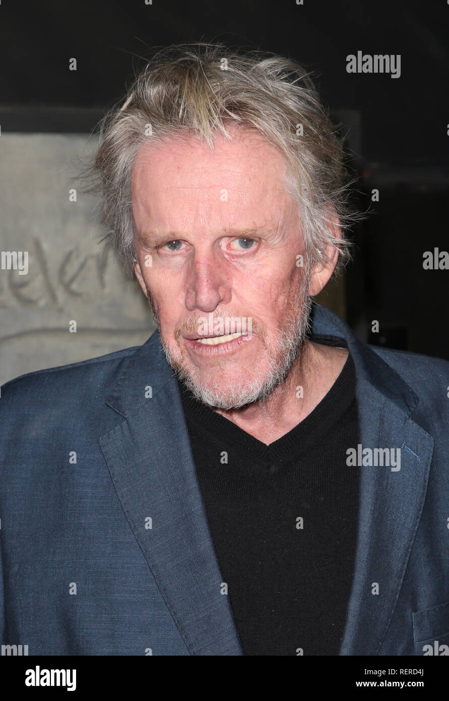 Hollywood, CA. 22 janvier, 2019. Gary Busey au la première projection de morts à l'Ant Chinois TCL 6 cinémas à Hollywood, Californie le 22 janvier 2019. Credit : Faye Sadou/media/Alamy Punch Live News Banque D'Images