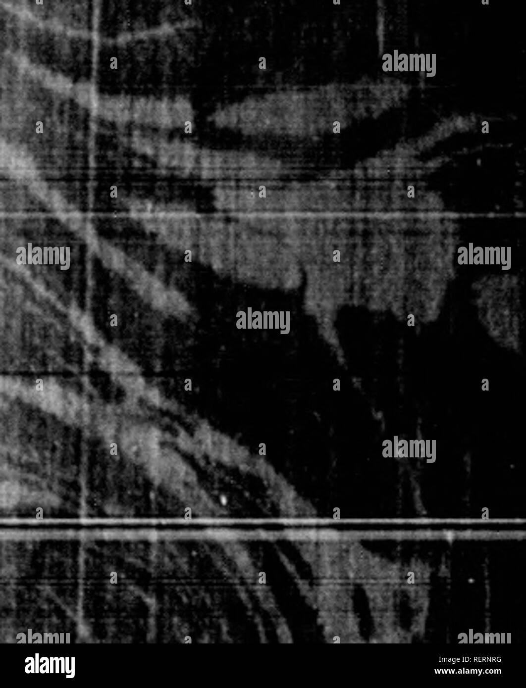 . Les [microform]. Reptiles Poissons Mollusques ; ; ; ; histoire naturelle des reptiles ; poissons ; Mollusques ; sciences naturelles. Pll tabac'K FISri . fi,(Hidri, comme ils sont nommés .les ihcally, sont parmi les plus remarkalde la tribu de finny. Le deuxième nom c' f S'D ? TiiS^^ ^^fS r^»-^^""""""^» ^^'â ¢ '^^ ^- --"^ Â"*â r-8-r^^^ aii le populaire mais idée erronée de ces créatures i.s. que leurs corps sont aplatis afin que le abdonien repose sur le sol et l'arrière reste upperiuost â ¢ lfi court e.xanunation suffit à montrer que la forme de la Banque D'Images