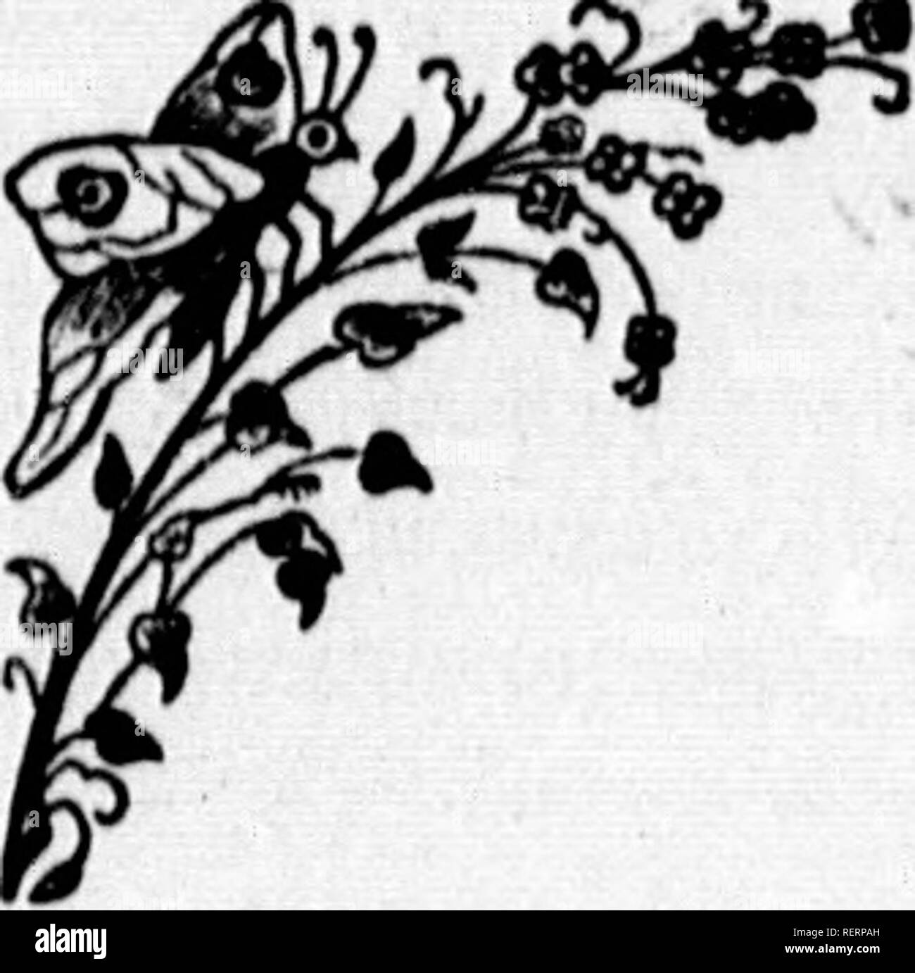 . Sur le terrain, de trèfles et de graminées fourragères, racines et plantes fourragères [microform]. Plantes fourragères Plantes fourragères graminées ; ; ; graminées. '^point Les plantes, n'être adoptée. En fait varylnK, attacher des conditions de récolte dans le morn- winrows avant que la méthode va répondre r variétés de trèfle. Une fois le foin fauché : ou méthode est adaptée à l'étape correcte de n'est pas d'être compté 5 ou plus fréquemment, y est assez sec pour je fait sans diffi- arvesting de clover, ime que de trois peut être ne-tessary à l'influence de l'endroit où la récolte de foin de graminées il tombe vers le bas ng hay, a une bonne valeur de l'unité centrale habitacle lorsque le PE et l'empileur régie countr Banque D'Images