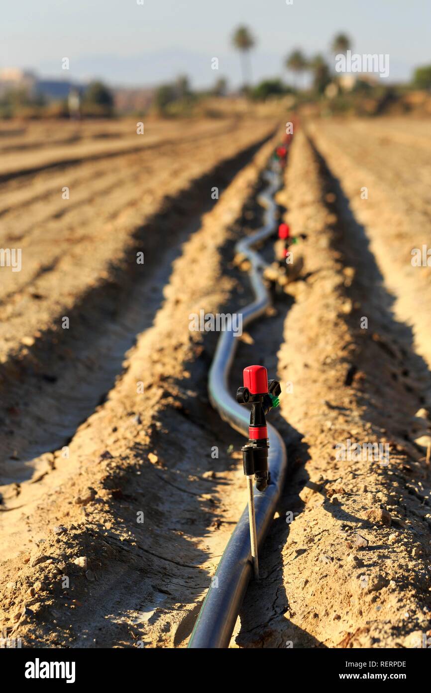 Le sprinkleur tuyaux d'irrigation, un sol desséché, Almeria, Andalousie, Espagne du Sud, Espagne Banque D'Images