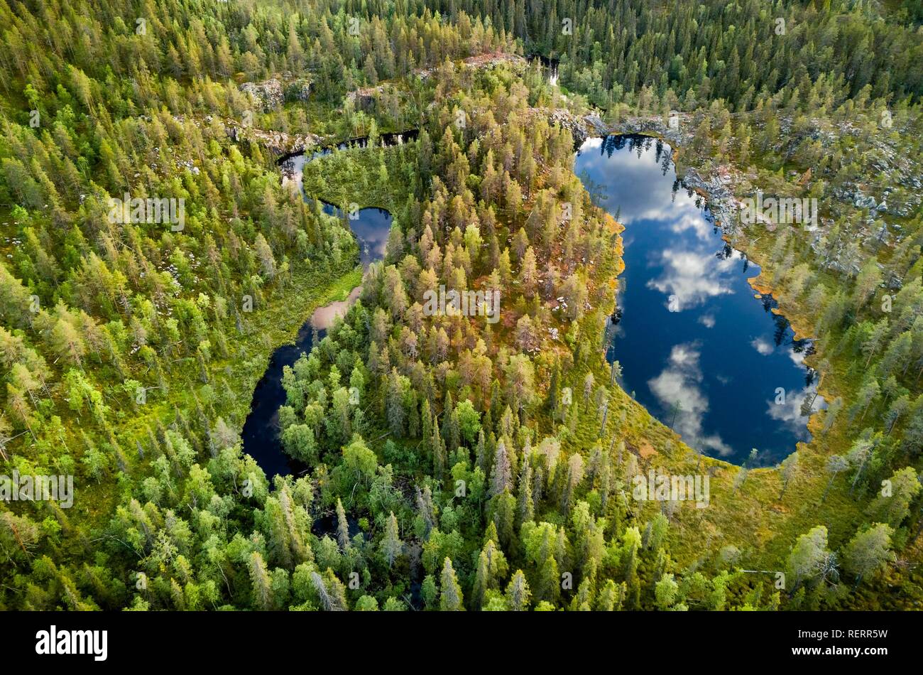 Drone vue, photo aérienne, les nuages reflètent dans le lac en forme de fer dans la forêt boréale de conifères de l'Arctique, les pins (Pinus) dans Banque D'Images
