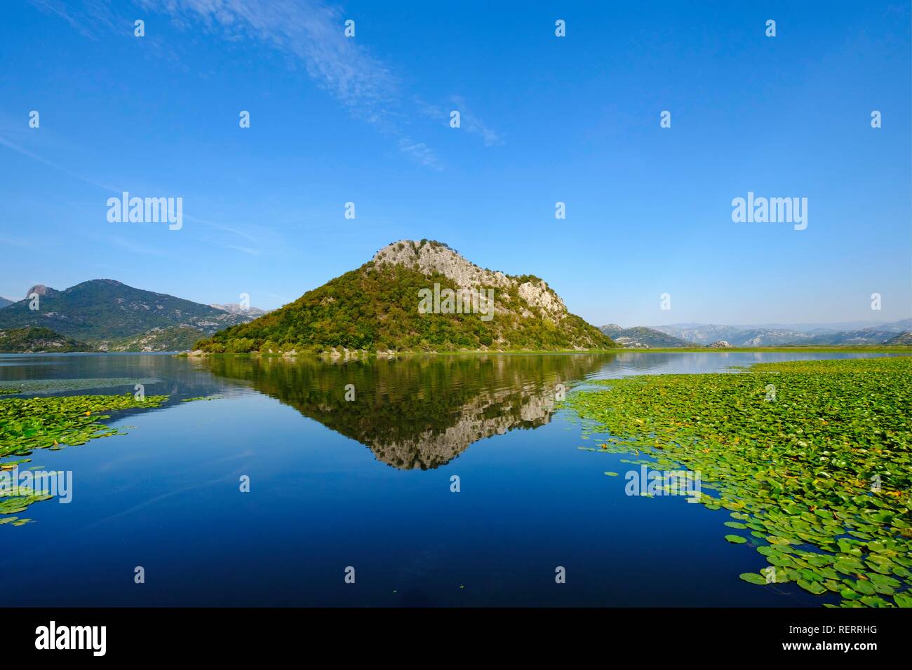 Le lac de Skadar, le parc national du lac de Skadar, Province de Cetinje, Monténégro Banque D'Images