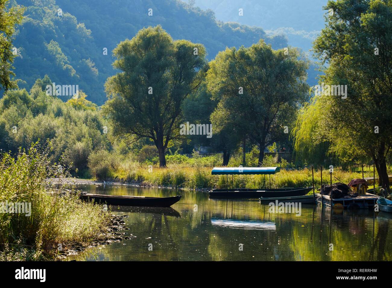 Boats on river, Rijeka Crnojevica Crnojevic, parc national du lac de Skadar, près de Cetinje, Monténégro Banque D'Images