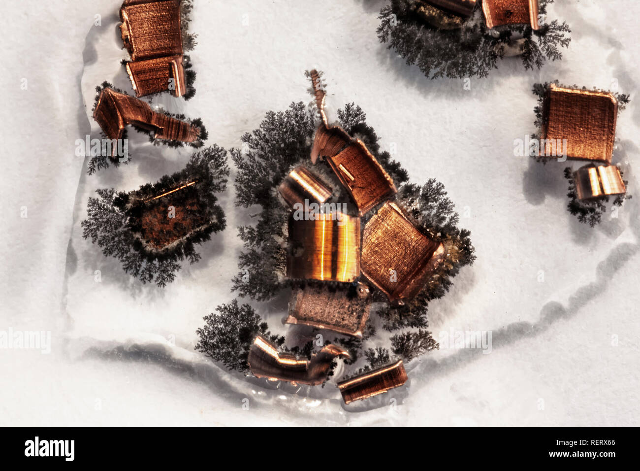 Réaction de déplacement entre la solution de nitrate d'argent et de cuivre métallique Banque D'Images