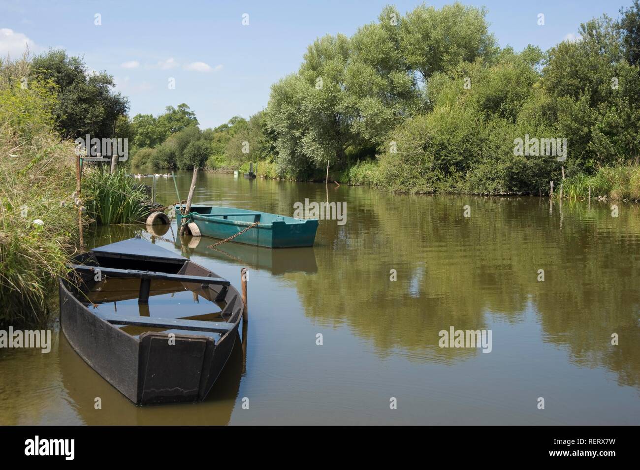 Port de Rozé Aâ, Site de la Convention de Ramsar sur les zones humides, Parc naturel régional de la Brière ou Grande Brière, Pays de Loire Banque D'Images