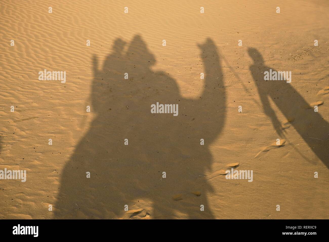 Ombre de cavaliers de chameau dans le sable, Jaisalmer, désert du Thar, Rajasthan, Inde, Asie du Sud Banque D'Images