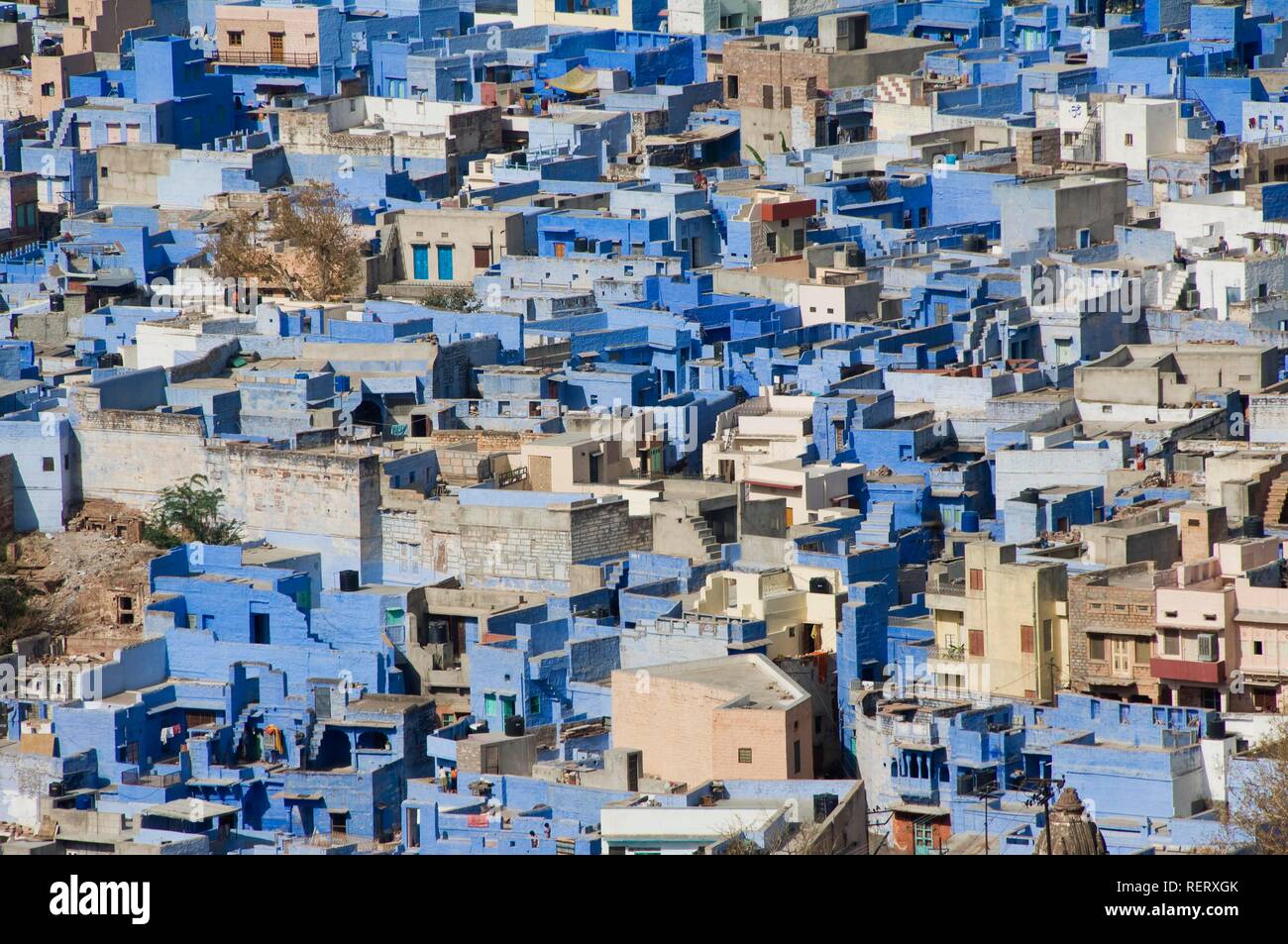 Maisons bleu, Jodphur, Rajasthan, Inde Banque D'Images