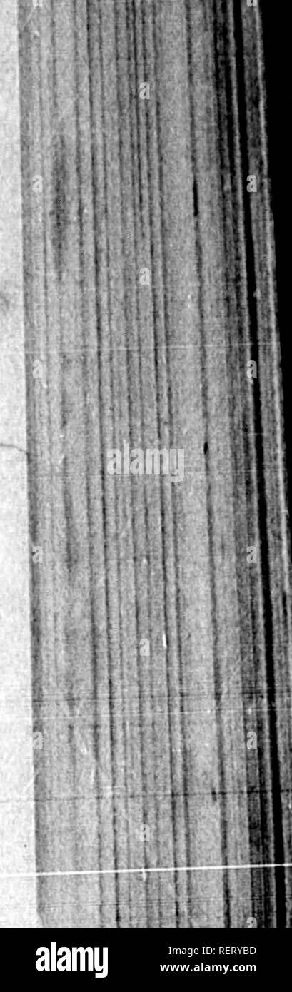 . Flora Americae Septentrionalis, ou, un arrangement systématique et description des plantes de l'Amérique du Nord [ressource électronique] : contenant, outre ce qu'ont été décrits par les auteurs précédents, de nombreuses nouvelles et les espèces rares, recueillies pendant douze ans voyages et de séjour dans ce pays. La botanique. ILLUSTRATIONS 1 I I. IR POUR LE PREMIER VOLUME. PORTRAIT DE MLLE Agnes Strickland Frontittpiece. Bérengère REÇU À ACRE PAR PHIUP Deicrlbed Auguste, (page 303.) Vignette Titre. MATILDA OP FLANDRE, Queen-Consobt de Guillaume le Conquérant, à partir de la page 21 Montfaufon Monumens (décrit page 93. Banque D'Images