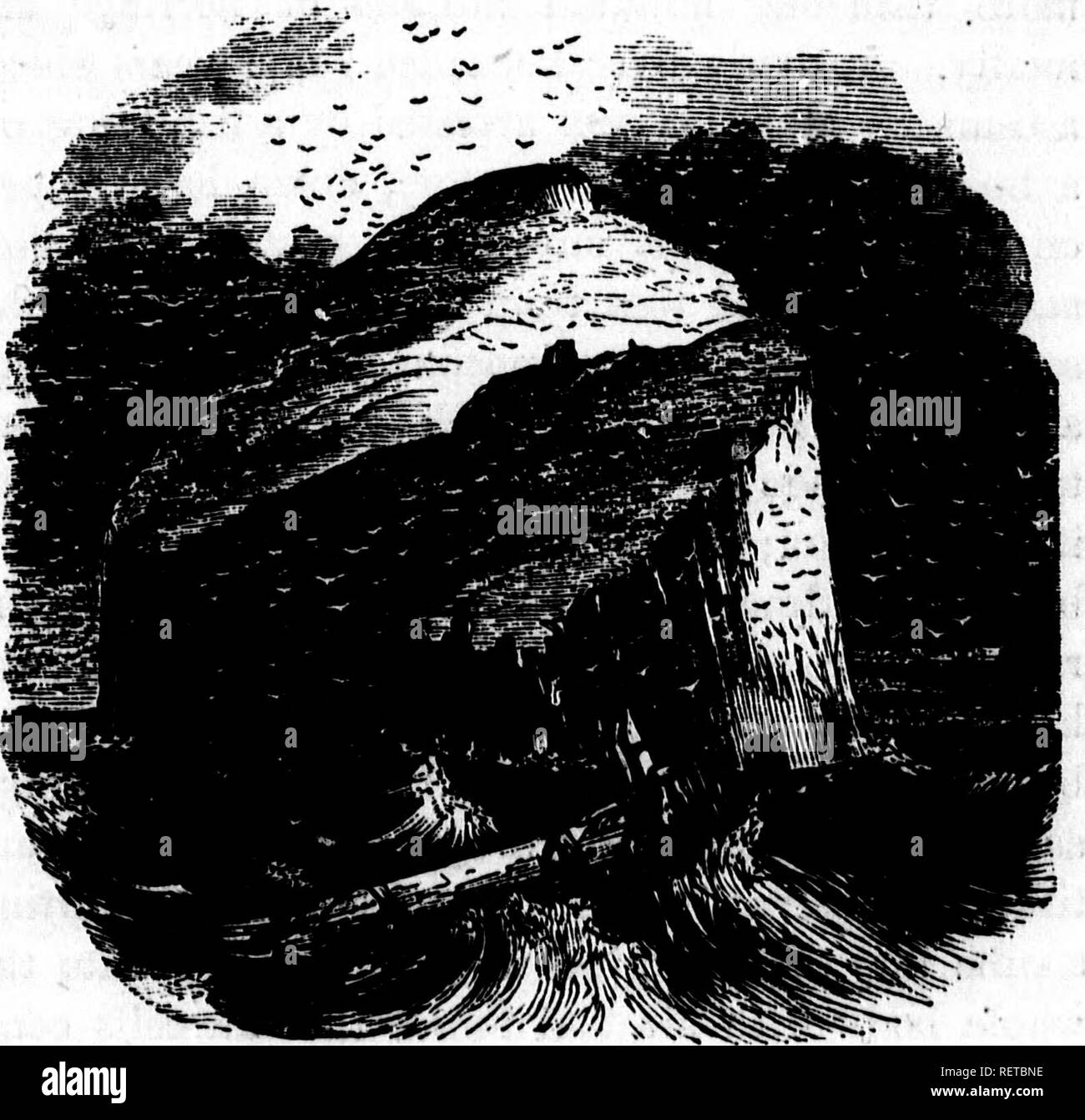 . L'océan [microform]. La biologie marine ; animaux marins ; les plantes marines ; Biologie marine ; Faune ; Flore marine marine. Les côtes de la Grande-Bretagne. Quel mauvais comme le pingouin, mais avec un bec pointu. Le Basaana {Bassan Sula) est de la tribu de Pelican, et est limité, au moins dans de grandes assemblées, à une ou deux localités : dont les principaux sont la basse Bock sur la côte est de l'Ecosse, et le fleuve. Tbk Bass Rock. apporter un certain- Kilda, la plus occidentale des Hébrides. Sur ces îles rocheuses qu'ils assemblent dans ces innombrables hôtes qu'ils ne peuvent être comparés à un essaim d'abeilles, ou d'une douche de neige Banque D'Images