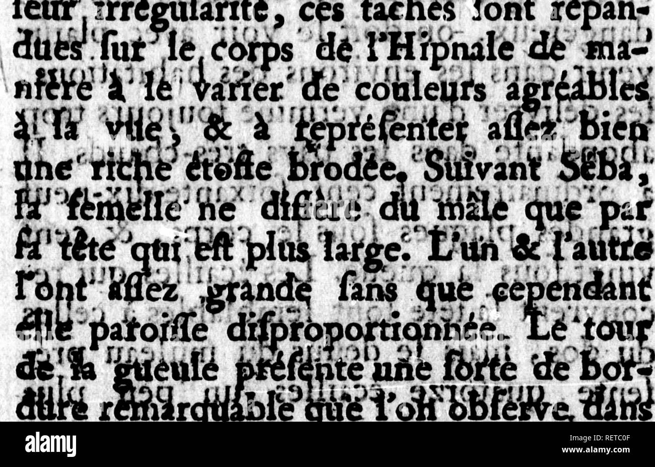 . Histoire naturelle des quadrupÃ¨des ovipares et des serpens [microform]. Reptiles ; serpents ; reptiles ; Les serpents. ÃiS efl ; .coi d'uu blanc jaunÃ¢tre, le tirant.plus ou fhÃ'inif dii' IFE  %uic- le:ae(Reconnaissances'dii cotQ cft d'iinÃ¨ eotilÃ bluÃ^j r©©'.claire, &AMP ; SÃ©ba t*V ?iiiÃ¯^'iiÃ®lÃ¢s 'tf^^^^^^ vu aicW rg fitf ' ciiÃ m ivm mÃ®ifeiv^ eft ' tÃ®'DSÃ 'kft p9tmÃ© de fcÃ¯andÃ Saches®Ã¢M blordÃ©Ã©s d'ufi brun prefque approximative MalgrÃ©. «¯ilôt raÃ®&amp ; eujrs plufÃ(iai®Boa, mais otÃMitÃ¨^ qui eft partie de fa gjCfjadeUK v.die eft ,CQm- polee de grandes Ã©canies-coorbees liens^*, contre-batteurs Ã l'extÃ©rieur se qui Ã© Banque D'Images