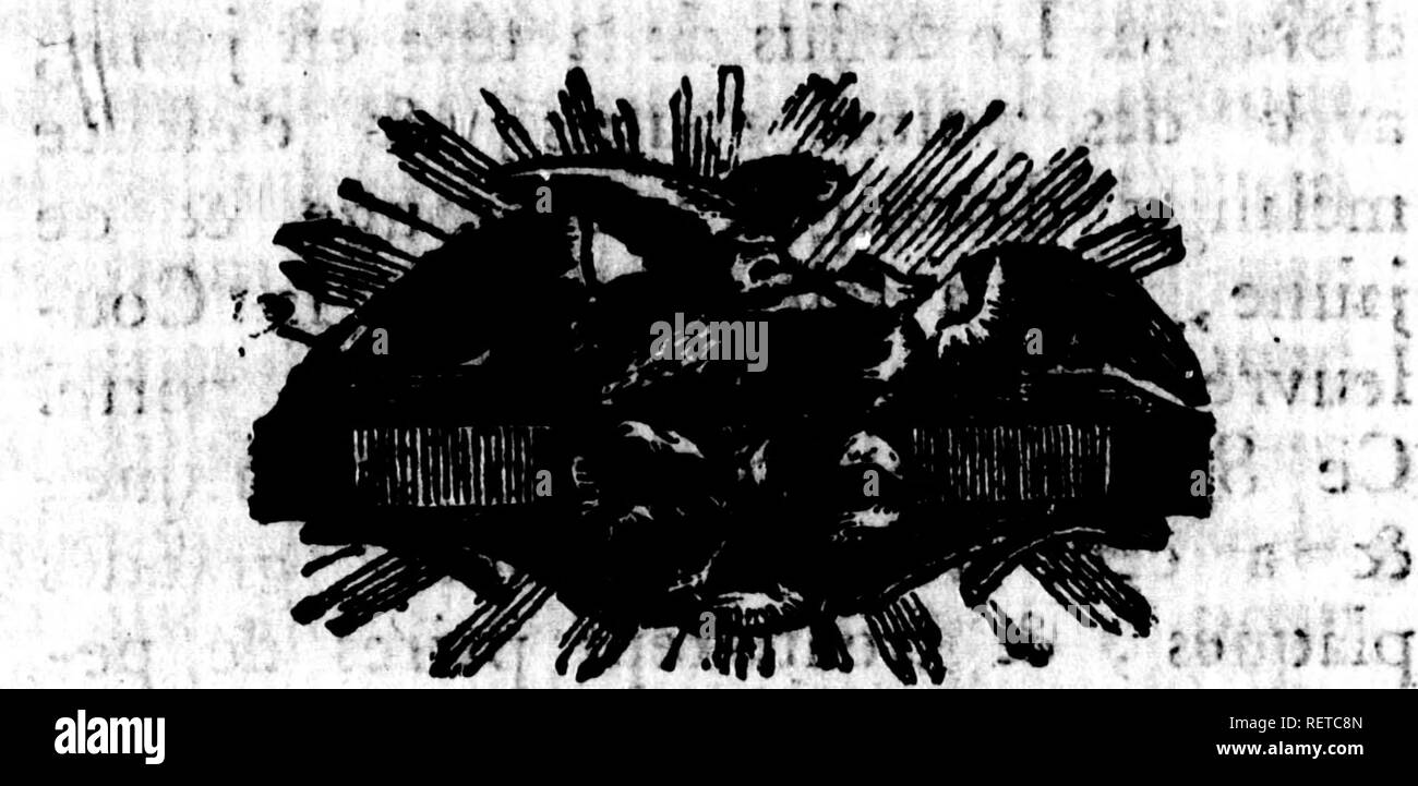 . Histoire naturelle des quadrupÃ¨des ovipares et des serpens [microform]. Reptiles ; serpents ; reptiles ; Les serpents. l' ) -.k des Serpens S^^j, lignes depnis anus Ã®nfqu ^Ã l'extrÃ©mitÃ© de la queue.. , Â" L'AnriellÃ©e rt un point de crochets mobiles (a). ^. T ' ' ' "11 mm" (a) Elle a Te plus fouvent 100 foitontÃ© quant ce quarantertrois paicia grandea plaquet ic de pÃªikÃ tk Â Â" j â â â:â ;'. ;'â ..â . Â :'f'^&gt ; 'H.. tyii^t ;i:l:t. Veuillez noter que ces images sont extraites de la page numérisée des images qui peuvent avoir été retouchées numériquement pour plus de lisibilité - coloration et apparition de th Banque D'Images