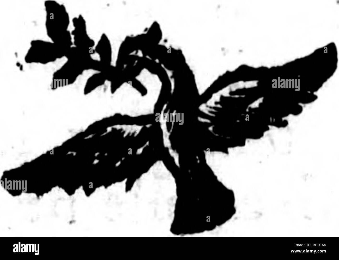 . Histoire naturelle des quadrupÃ¨des ovipares et des serpens [microform]. Reptiles ; serpents ; reptiles ; Les serpents. j 7 8 Hijloire naturelle des boules de cryftal ou des plaques mÃ©talliques &gt ; elle ne peut voir qu'avec efFroi nos doux &AMP ; paifÃ®bles serpens, tandis que dans les contrÃ©es Ã©quato- riales des grandes Indes , oÃ¹ vivent des Serpens Ã©normes , terribles par leur travail ou par leur funeftes poifon, la crainte qu'infpirent ces reptiles dan- fereux, n*eft jamais produite par les erpens innocens Se manies, tels que la couleuvre des dames-(Ã"). Â"â JE CASE IH I III 1 fuj This derniÃ¨re e Banque D'Images