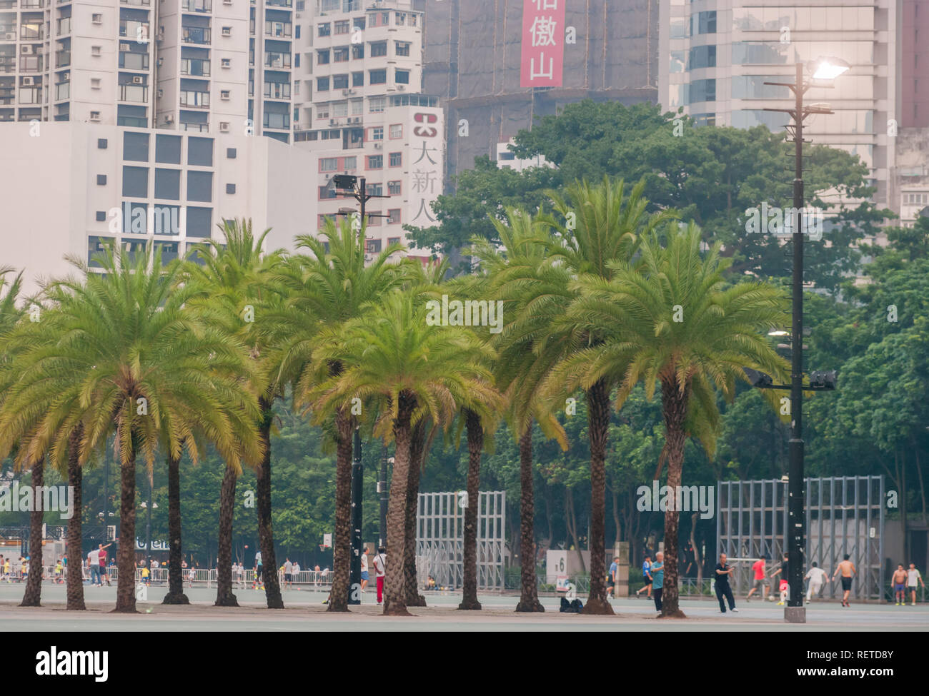 Le parc Victoria à Hong Kong, Chine, plein de personnes bénéficiant d'activités récréatives dans parc avec beaux arbres avec des feuilles vertes et des bâtiments derrière. Banque D'Images