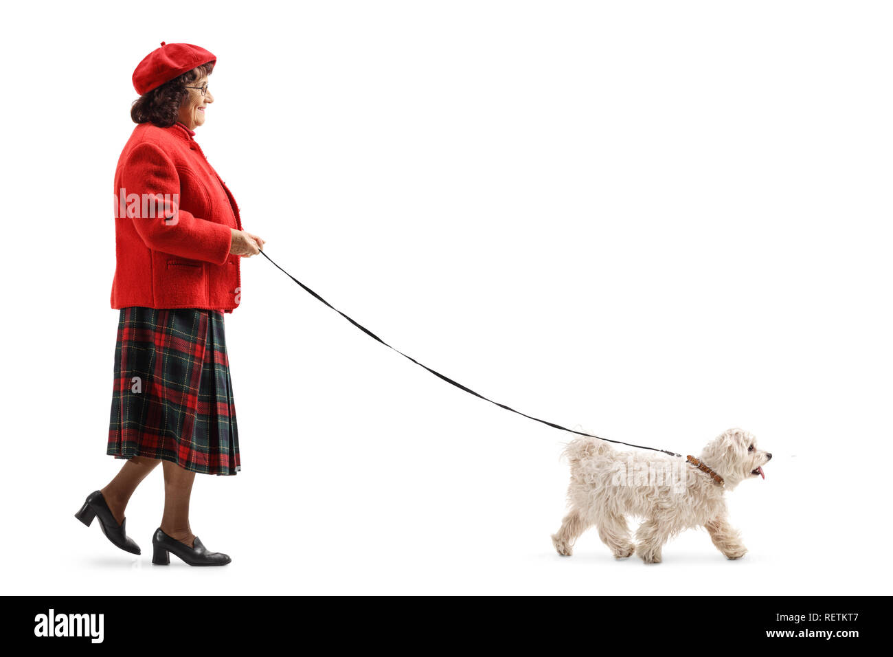 De toute la longueur d'une ancienne dame de marcher un peu chien blanc isolé sur fond blanc Banque D'Images