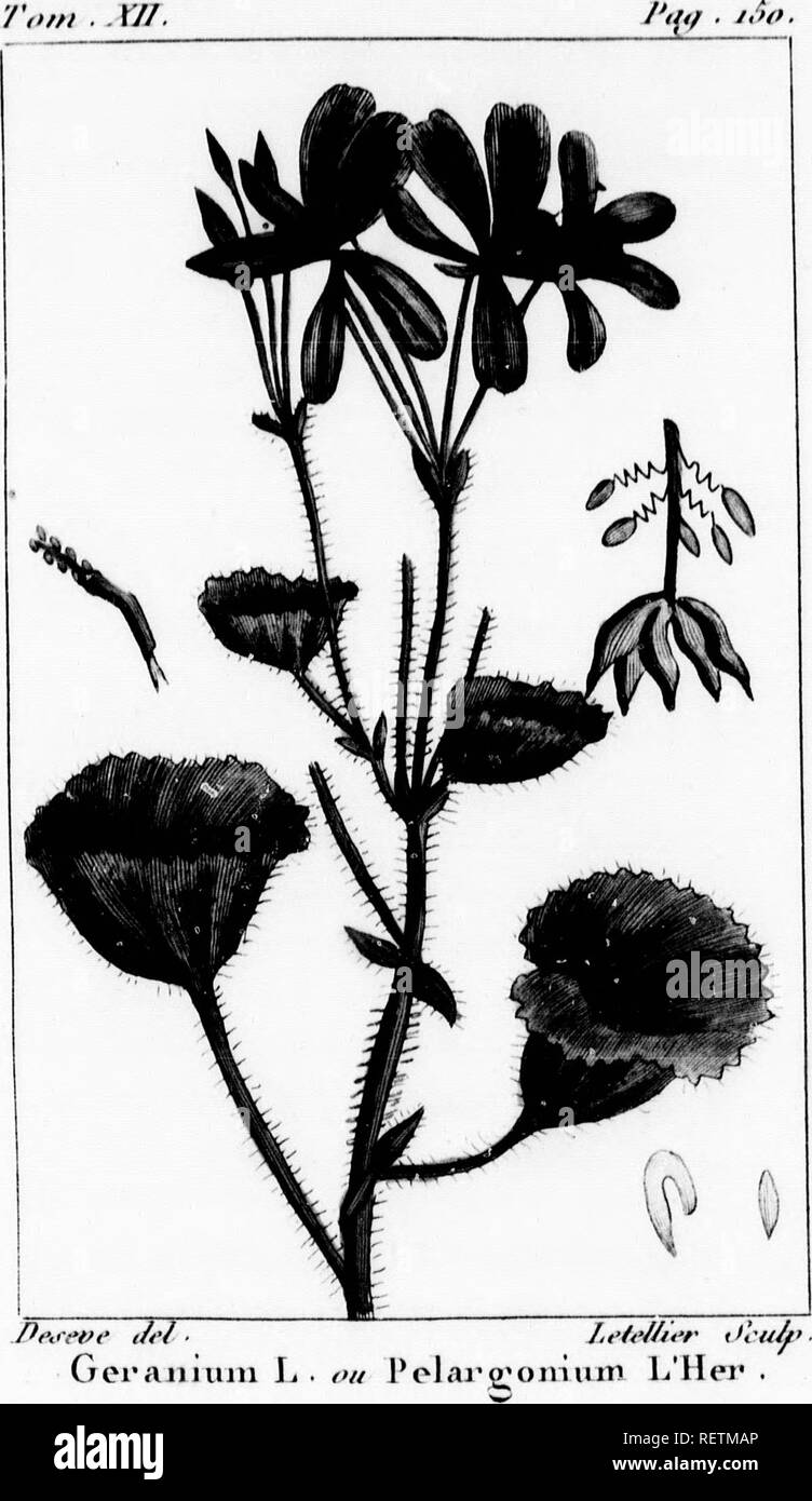 Histoire Naturelle Des Vegetaux Classes Par Familles Microforme Avec La Citation De La Classe Et De L Ordre De Linne Et L Indication De L Usage Que L On Peut Faire Des Plantes Dans
