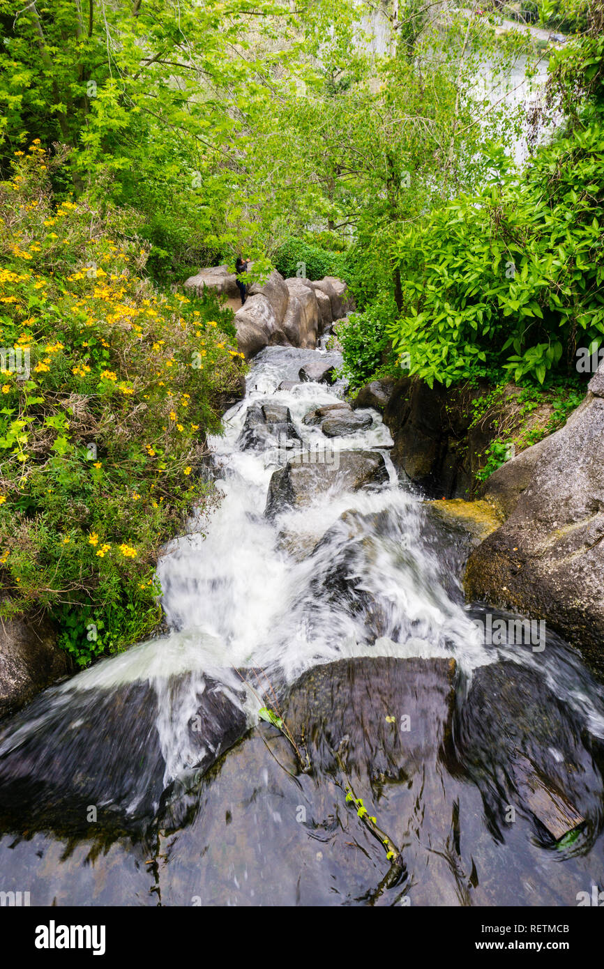 Huntington Falls, une cascade artificielle dans le Golden Gate Park, San Francisco, Californie Banque D'Images