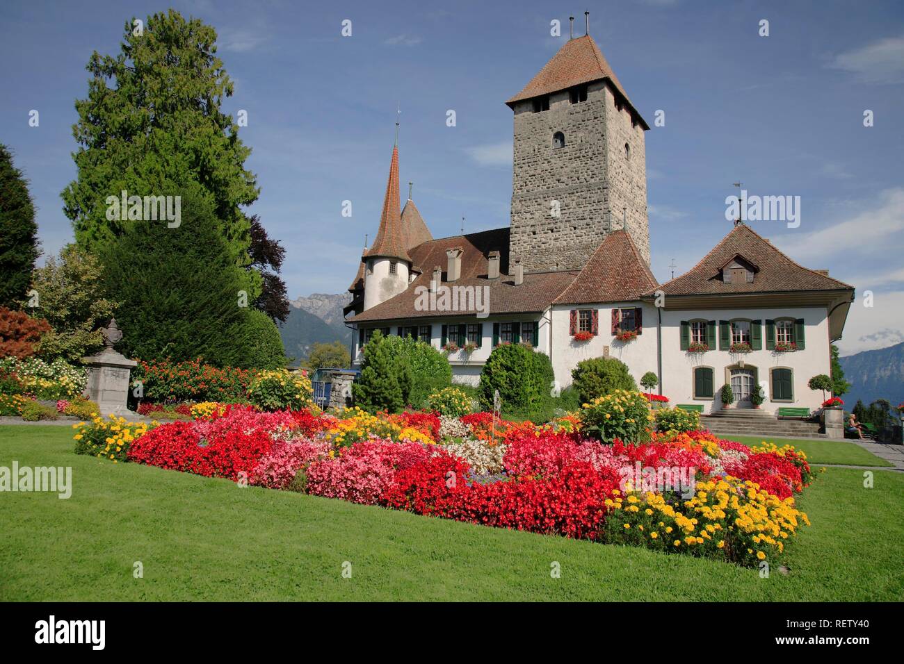 Le Château de Spiez par Spitz dans le lac de Thoune, Niedersimmental, canton de Berne, Suisse, Europe Banque D'Images