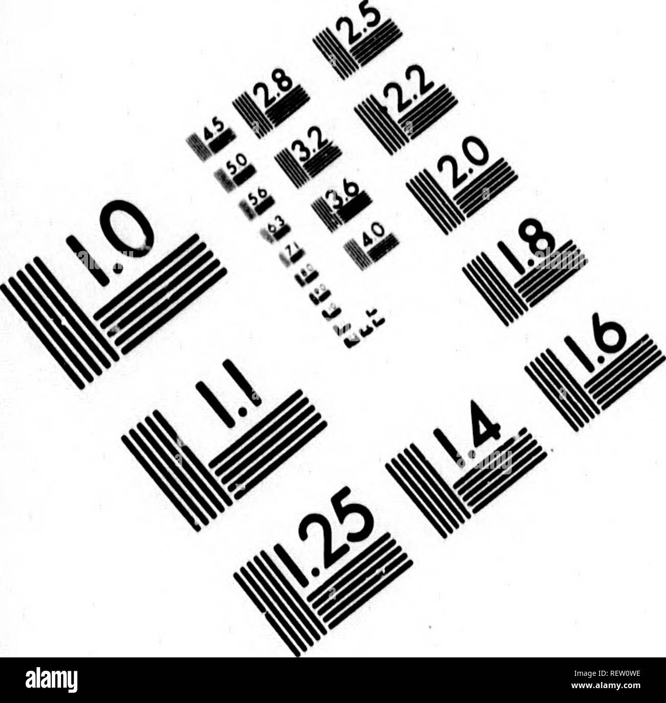 . Histoire naturelle, générale et particulière [microforme]. Sciences naturelles ; l'histoire naturelle. TEST D'ÉVALUATION D'IMAGE CIBLE (MT-3) //. Veuillez noter que ces images sont extraites de la page numérisée des images qui peuvent avoir été retouchées numériquement pour plus de lisibilité - coloration et l'aspect de ces illustrations ne peut pas parfaitement ressembler à l'œuvre originale.. Buffon, Georges Louis Leclerc, comte de, 1707-1788. A Paris : De l'Imprimerie Royale Banque D'Images