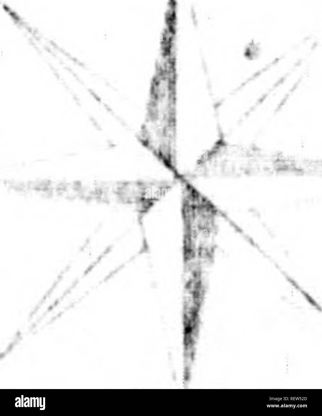 . L'histoire civile et naturelle du Vermont [microform]. Histoire naturelle ; sciences naturelles. ,/,' ,, :, /&Gt ;'r' ,,, / '. Â Un v* -i - X '-' yi///. J'ai .Si..,,/'/. ,Â )' f. ,.////V H UN FICHIER .r '..^ V 'ji--. /. //,/,// J . ' / 'Â ^ ^ J*""', ///,/,/7^ / A A . !0 V . "- J'yAi â v&gt ; m ;, .X F I,S {/I ,/,. ; - /â . / // Â | â" * >â ¢,â  ;/, r n, --i' i/- iiy//,u//&gt ;./, /.-/ ^{', - f /Â" â ' . : &gt ; â¢R W/ ^^V'///////', X- ^ ' V /â / / / ,&gt ; V ' ^ ^/J"rA/// f X. ^ ( V '////â (/ /f/l/. //./ // A- -^ / h L' 0 JJ^'W / 9 ^^ ^ r v : &gt ; â /// //kc / »' / Banque D'Images