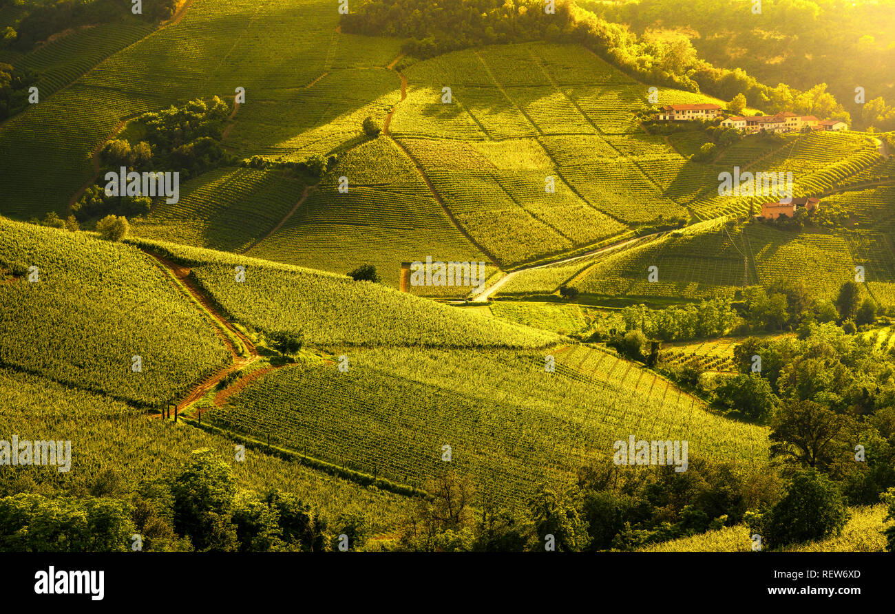 Les vignobles des Langhe sunset panorama, près de Barolo, Site de l'Unesco, Piémont, Italie du nord de l'Europe. Banque D'Images