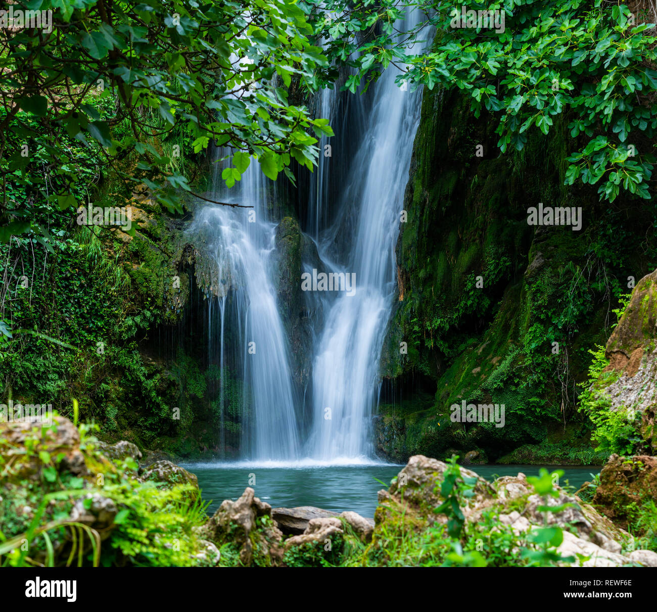 Nettoyer l'eau qui coule en cascade sur la roche à l'étang dans les bois verts des temps d'exposition Banque D'Images