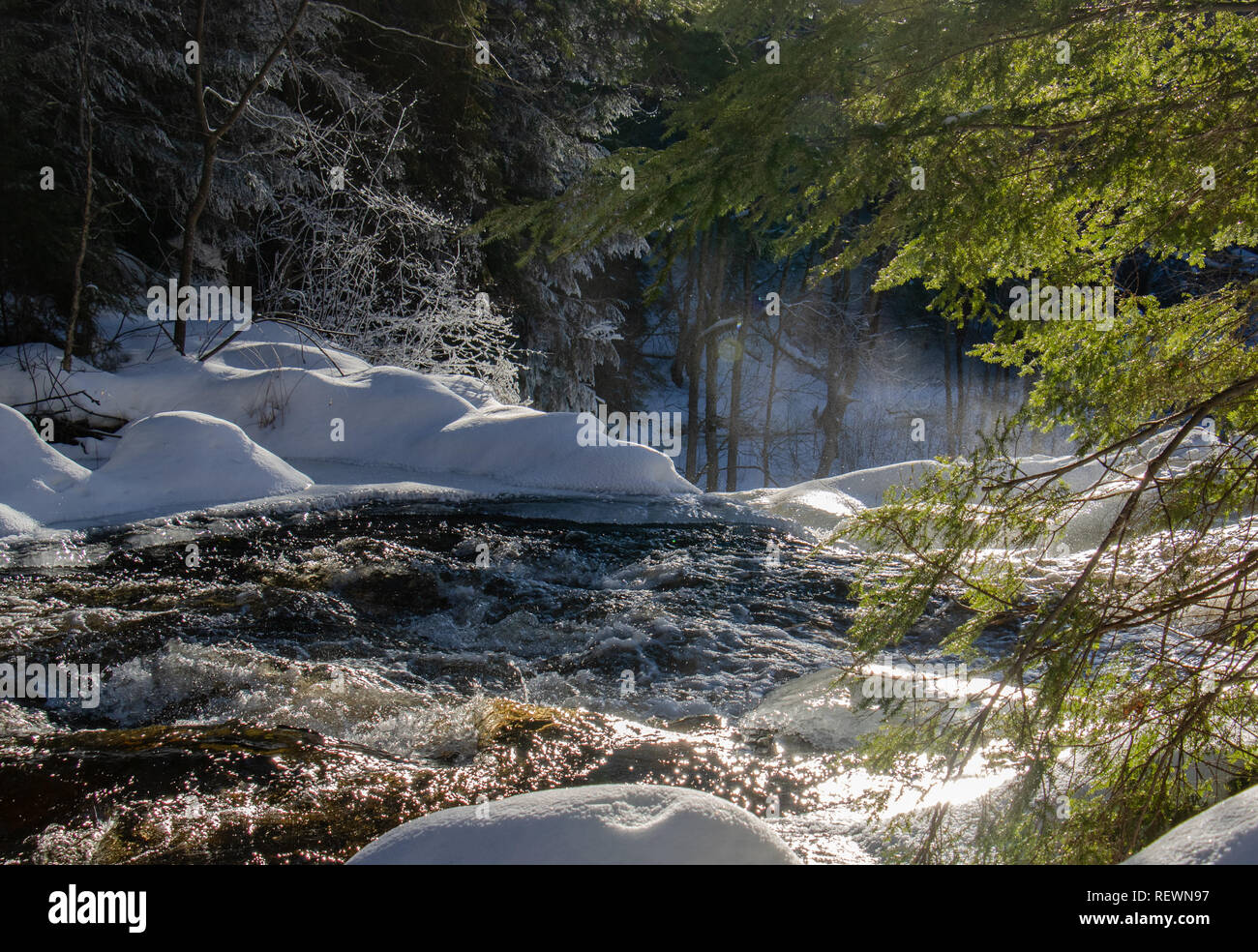 Se précipiter l'eau glacée et de neige à banques rivières boisées Stubbs Falls Parc Arrowhead en Ontario. Banque D'Images
