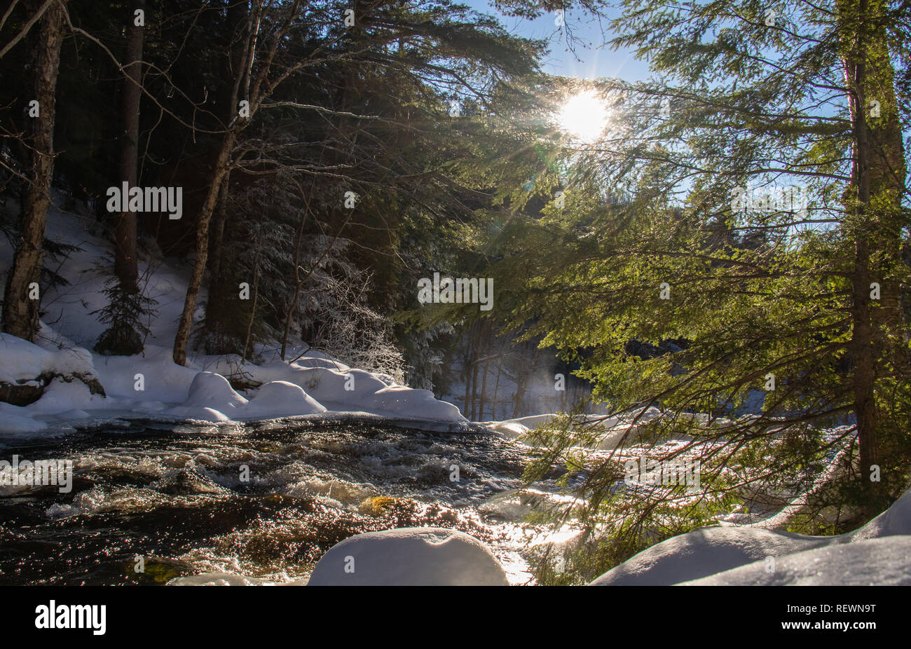 Se précipiter l'eau glacée et un écran rétroéclairé à evergreen Stubbs Falls Parc Arrowhead en Ontario. Banque D'Images