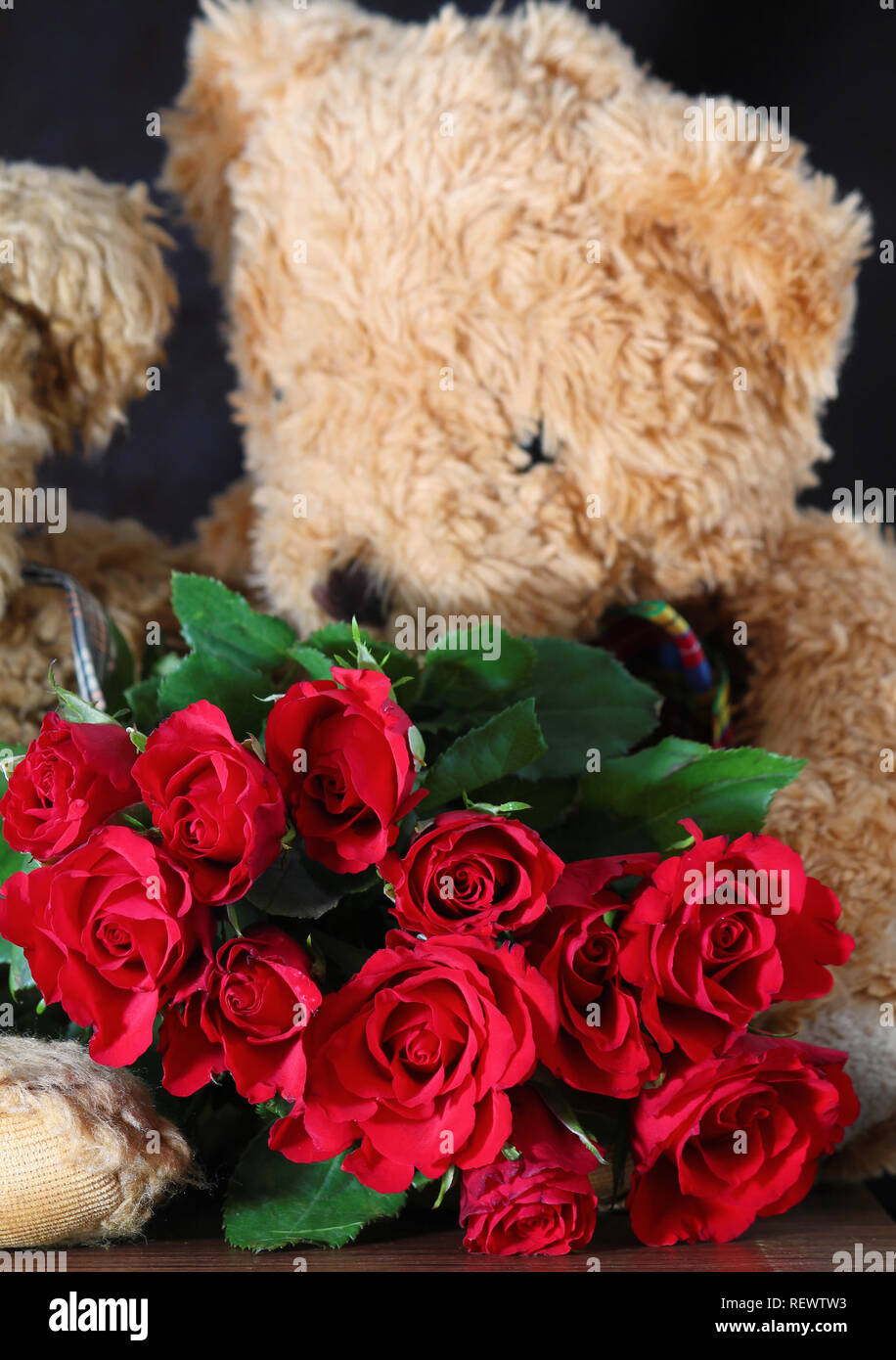 Bouquet de roses rouges et de couple d'ours en peluche. Ours en peluche mignon avec quelques roses. Happy Valentine's day card. Carte de vœux de mariage romantique pour Banque D'Images