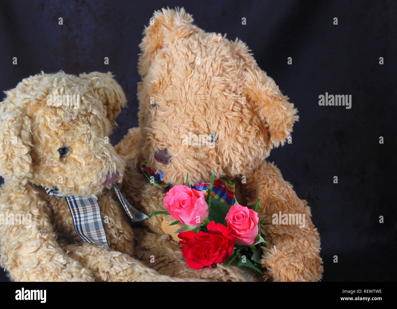 Ours en peluche tenant un bouquet de roses rouges et roses. Ours en peluche mignon avec quelques roses. Happy Valentine's day card. Banque D'Images