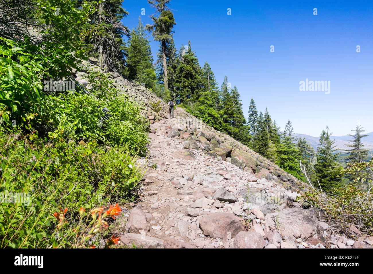 Randonnées sentier menant au sommet de Black Butte, à proximité de la montagne de Shasta, Californie du Nord, Comté de Siskiyou Banque D'Images