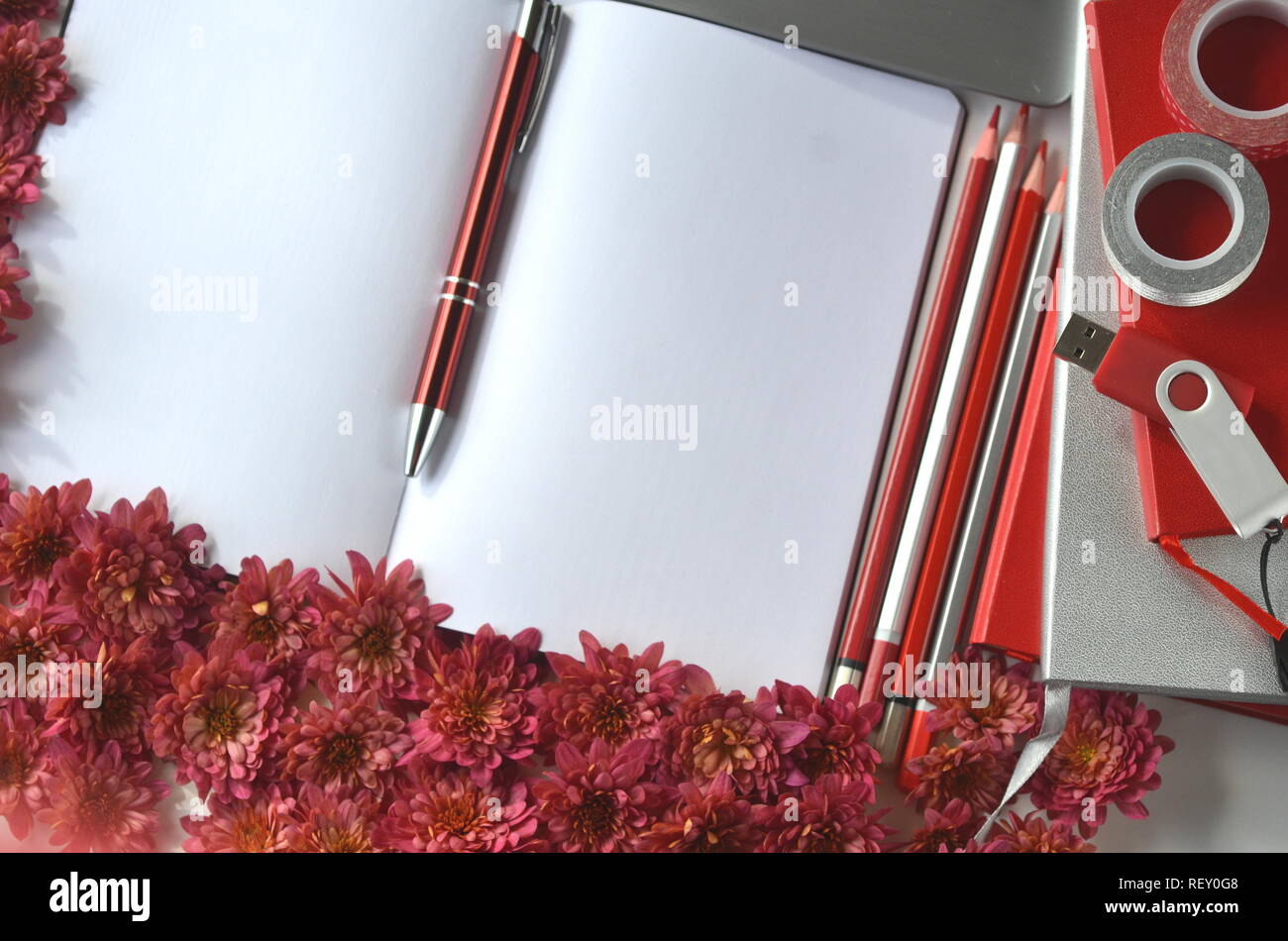 Automne Automne fond floral rouge profond avec chrysantemums sur fond blanc avec l'exemplaire de l'espace. Maquette de carte de vœux et de frontière. Espace de travail de bureau télévision mise en page. Banque D'Images