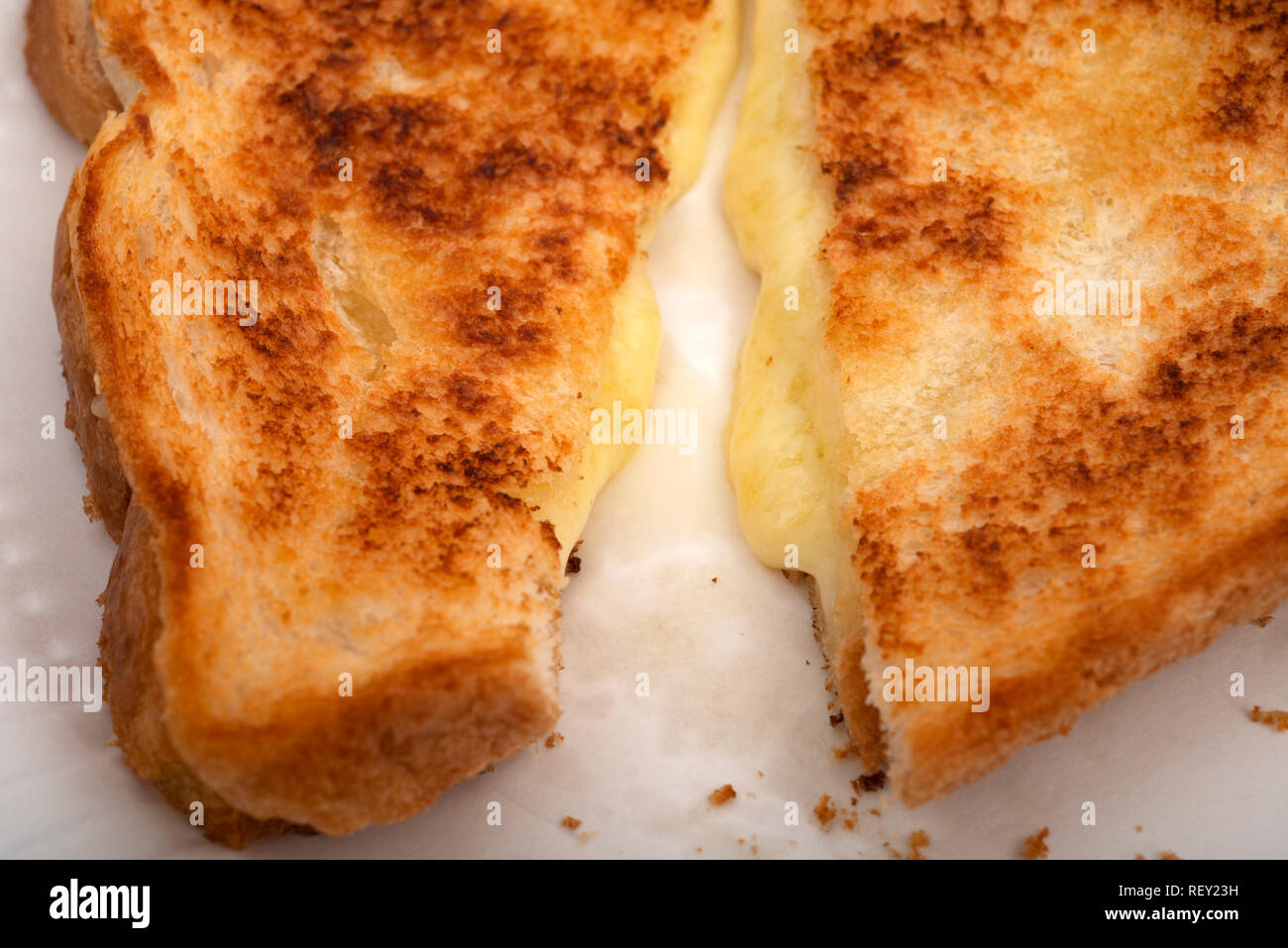 Sandwich au fromage frit Banque D'Images