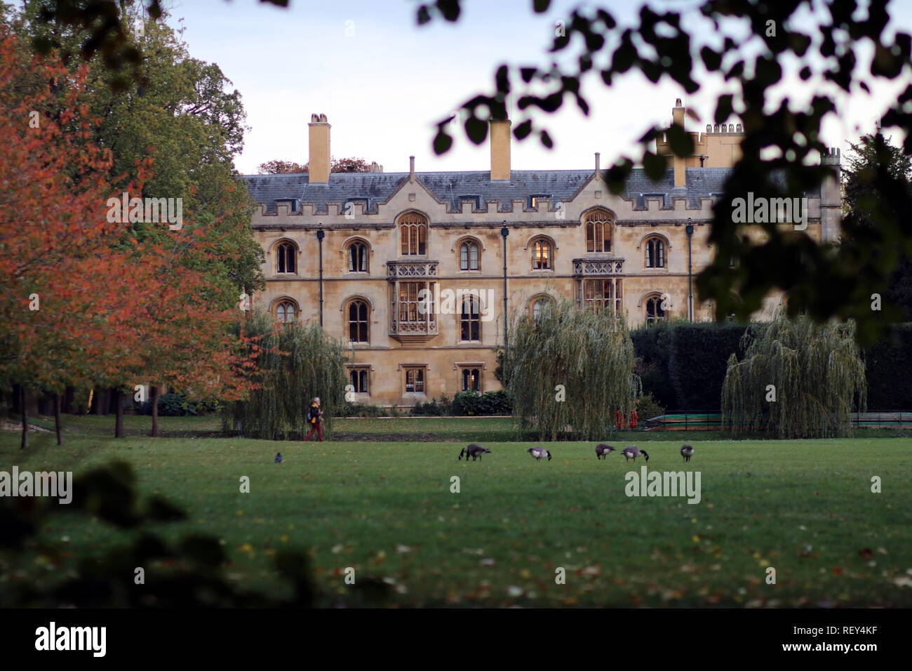 Trinity College de Cambridge, Angleterre Banque D'Images