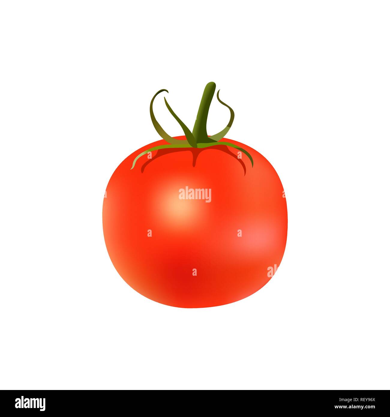 Tomates rouges mûres avec tige verte isolée sur fond blanc Illustration de Vecteur