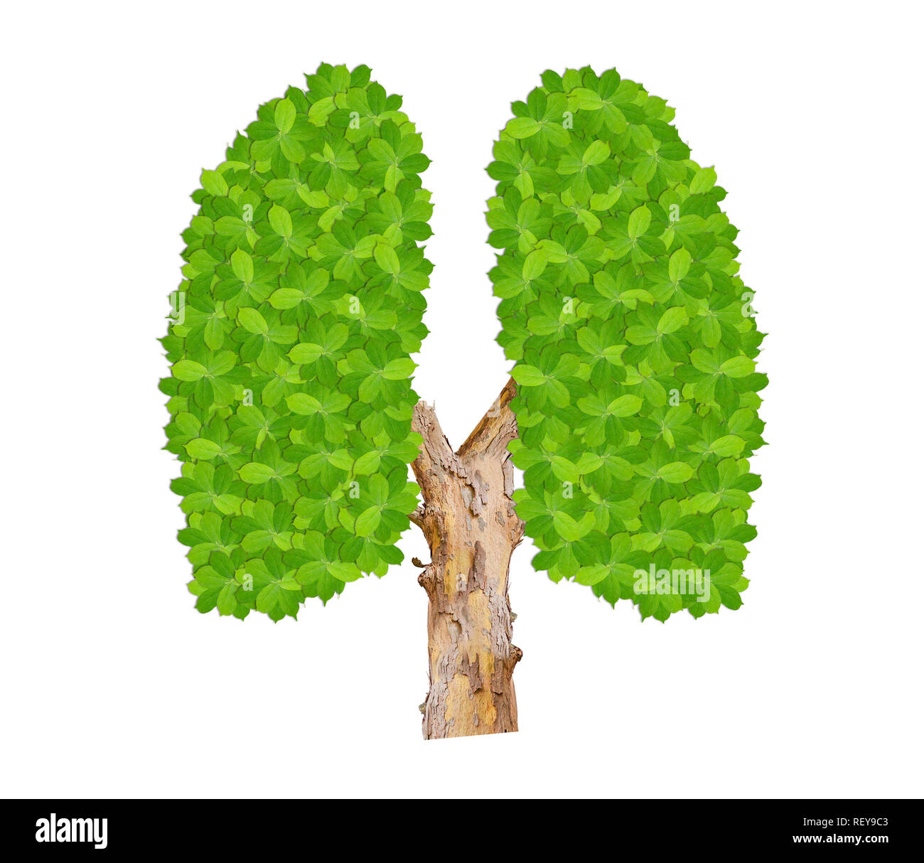 Vert feuilles poumons comme symbole de l'écologie de l'environnement propre isolated on white Banque D'Images