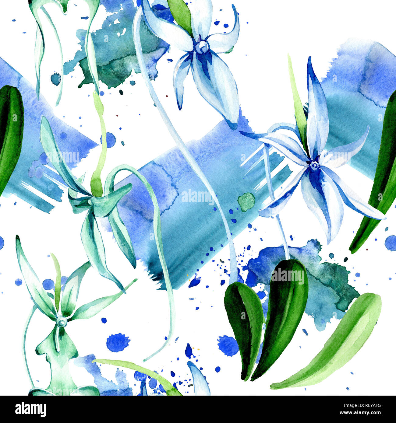 Blue orchidée rare. Botanique Floral fleur. Lame de ressort sauvages. Illustration à l'aquarelle. Aquarelle Dessin aquarelle mode isolé. Bac transparent Banque D'Images