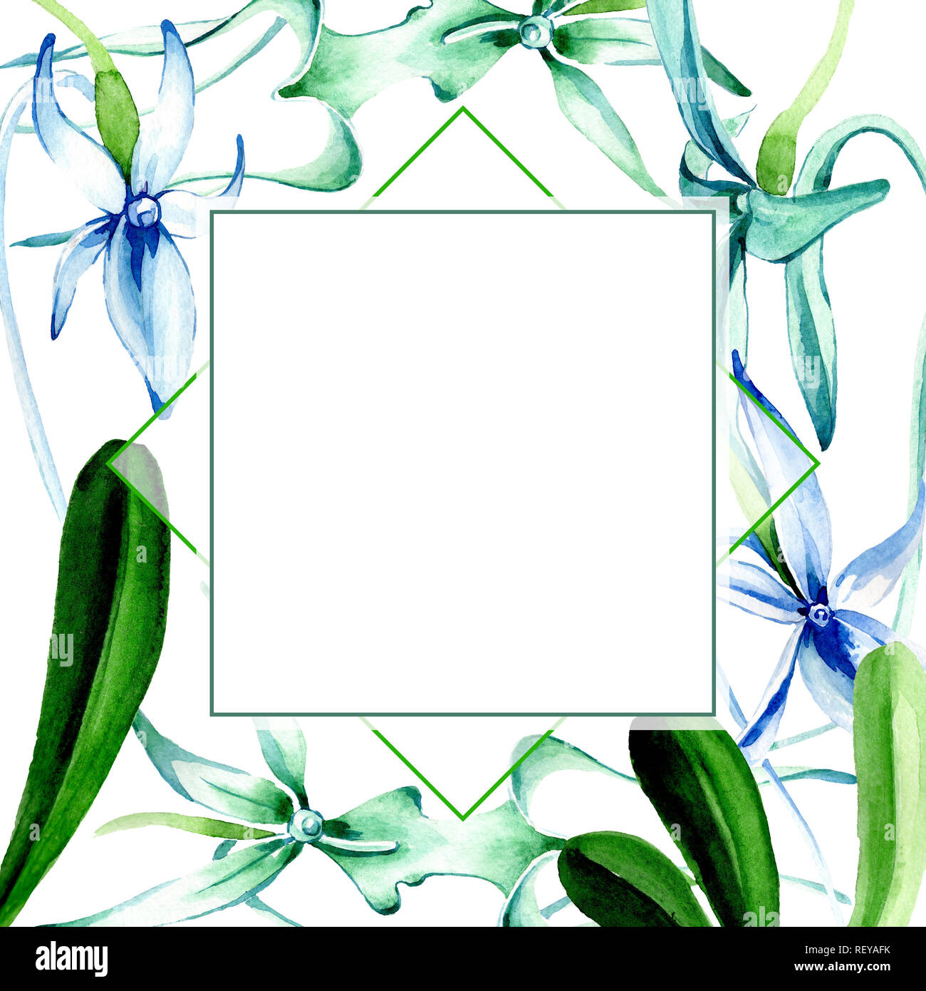 Blue orchidée rare. Botanique Floral fleur. Lame de ressort sauvages isolés de fleurs sauvages. Contexte aquarelle illustration set. Un mode de dessin aquarelle Banque D'Images