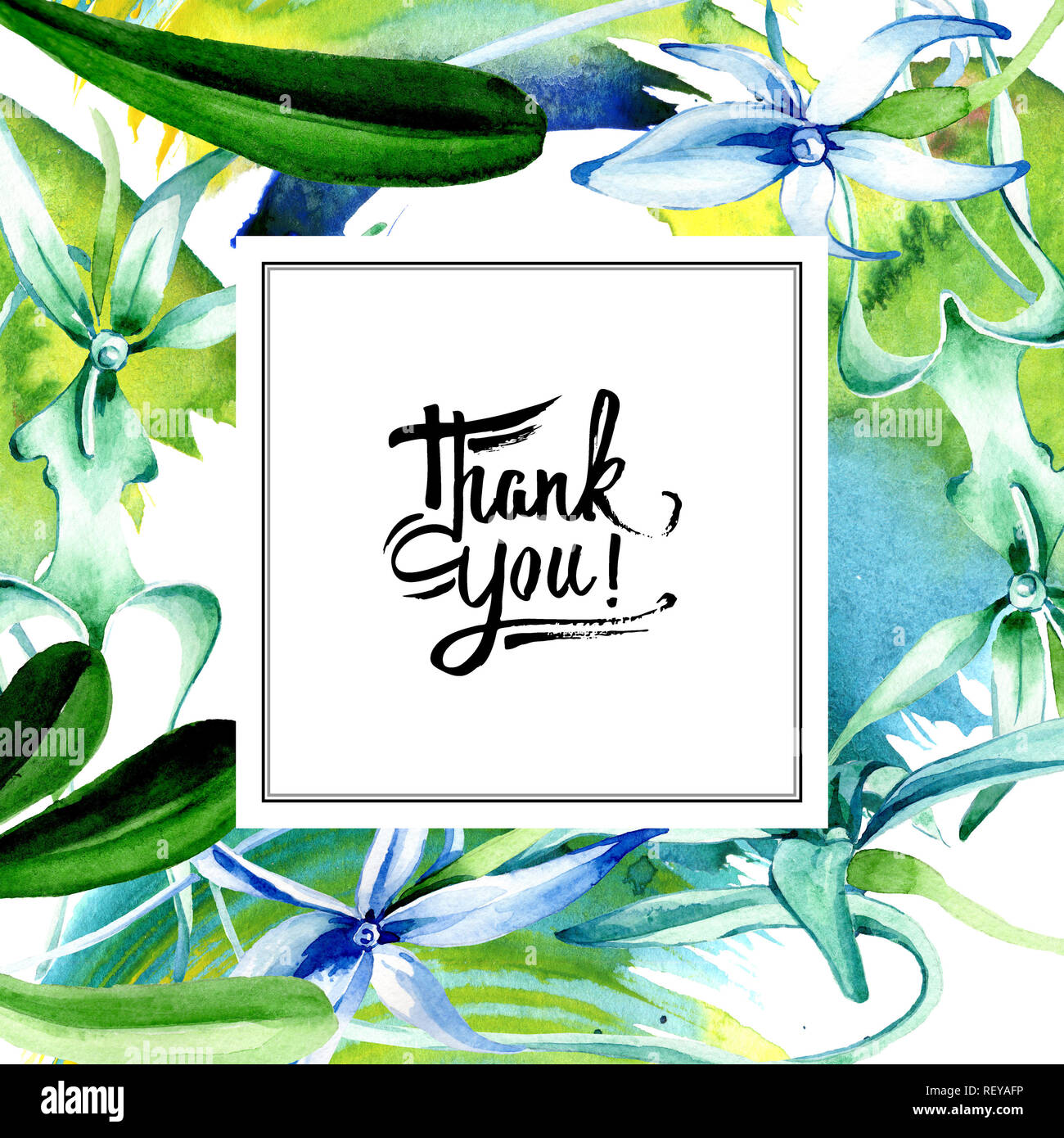 Blue orchidée rare. Botanique Floral fleur. Lame de ressort sauvages isolés de fleurs sauvages. Contexte aquarelle illustration set. Un mode de dessin aquarelle Banque D'Images