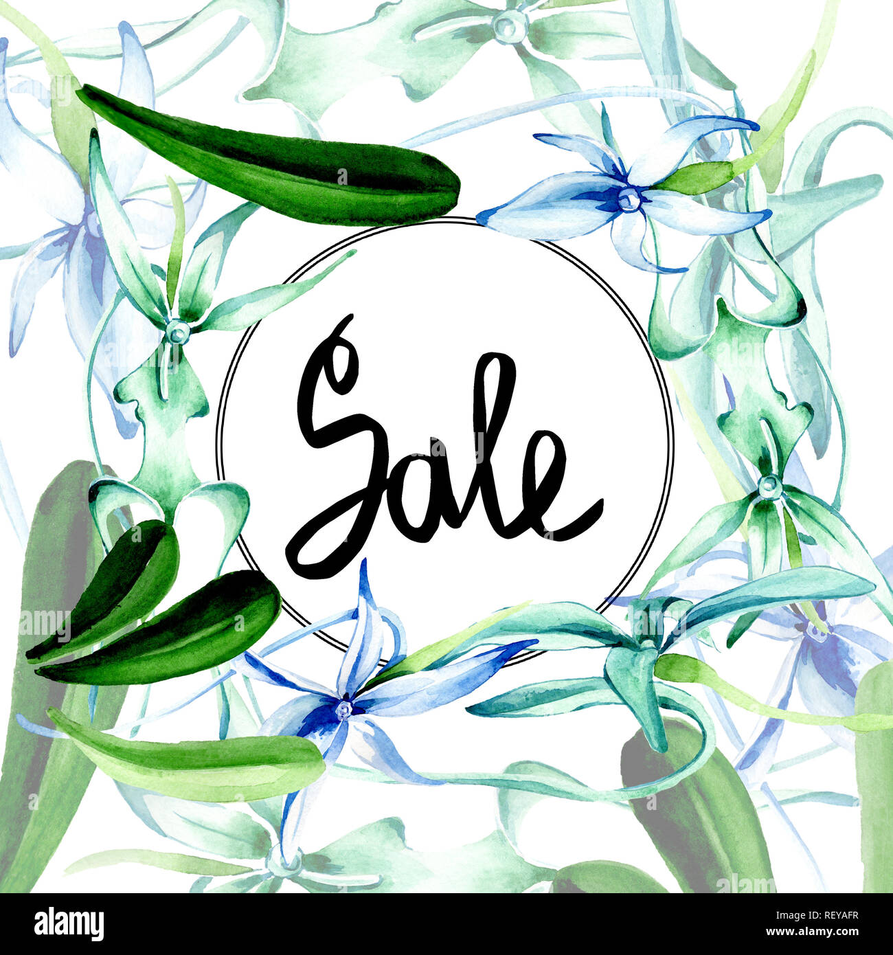 Blue orchidée rare. Botanique Floral fleur. Lame de ressort sauvages isolés de fleurs sauvages. Contexte aquarelle illustration set. Un mode de dessin aquarelle Banque D'Images