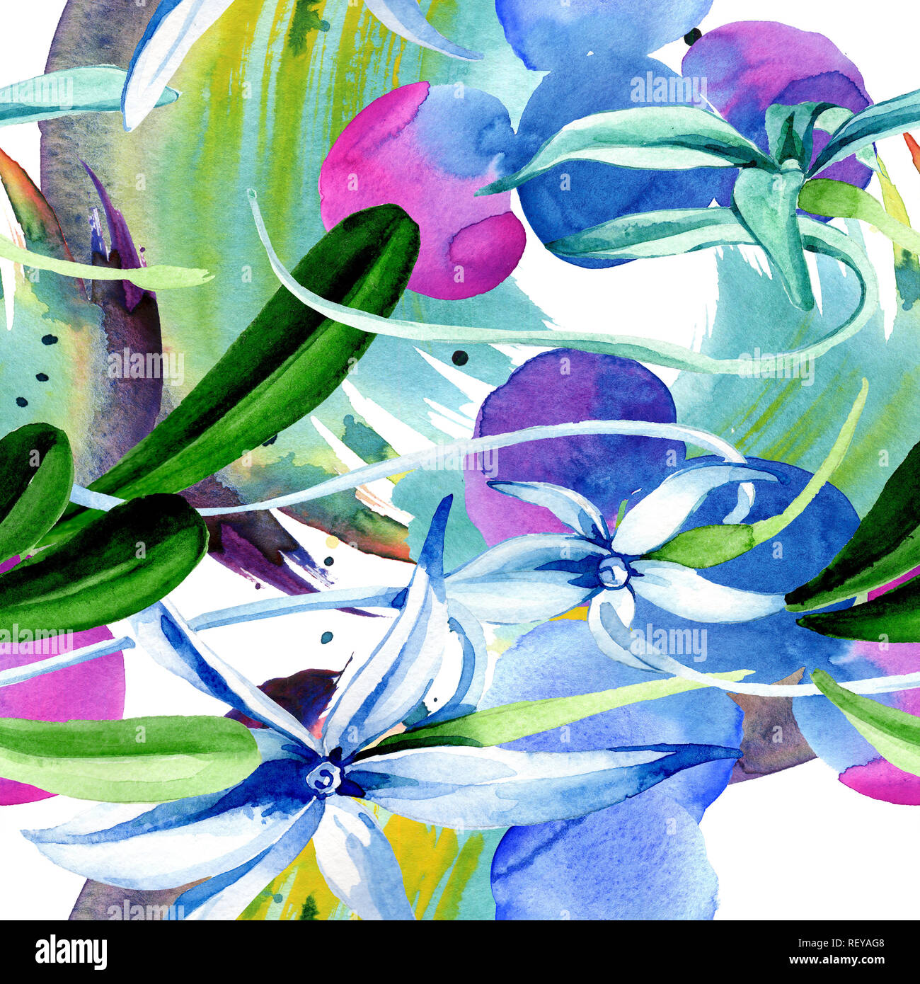 Blue orchidée rare. Botanique Floral fleur. Lame de ressort sauvages. Illustration à l'aquarelle. Aquarelle Dessin aquarelle mode isolé. Bac transparent Banque D'Images