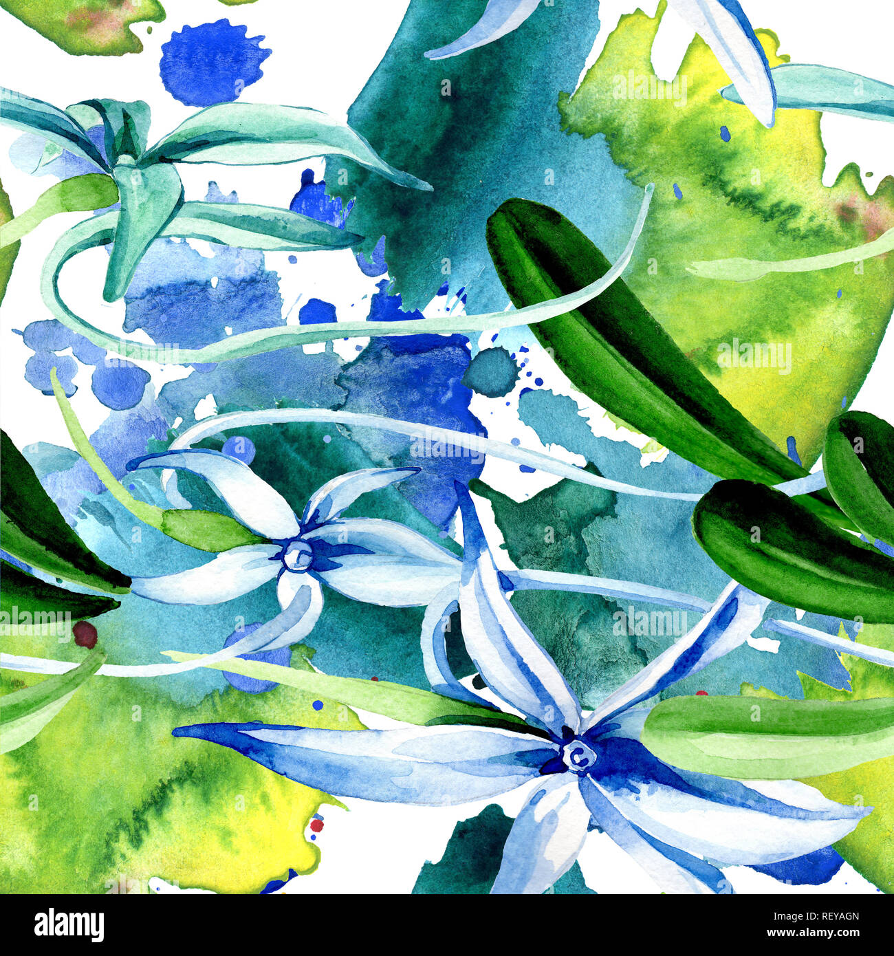 Blue orchidée rare. Botanique Floral fleur. Lame de ressort sauvages. Illustration à l'aquarelle. Aquarelle Dessin aquarelle mode isolé. Bac transparent Banque D'Images