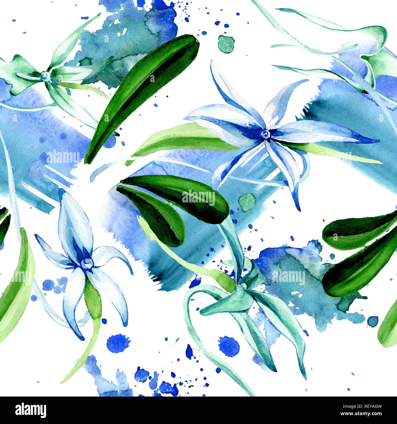 Blue orchidée rare. Botanique Floral fleur. Lame de ressort sauvages. Illustration à l'aquarelle. Aquarelle Dessin aquarelle mode isolé. Bac transparent Banque D'Images