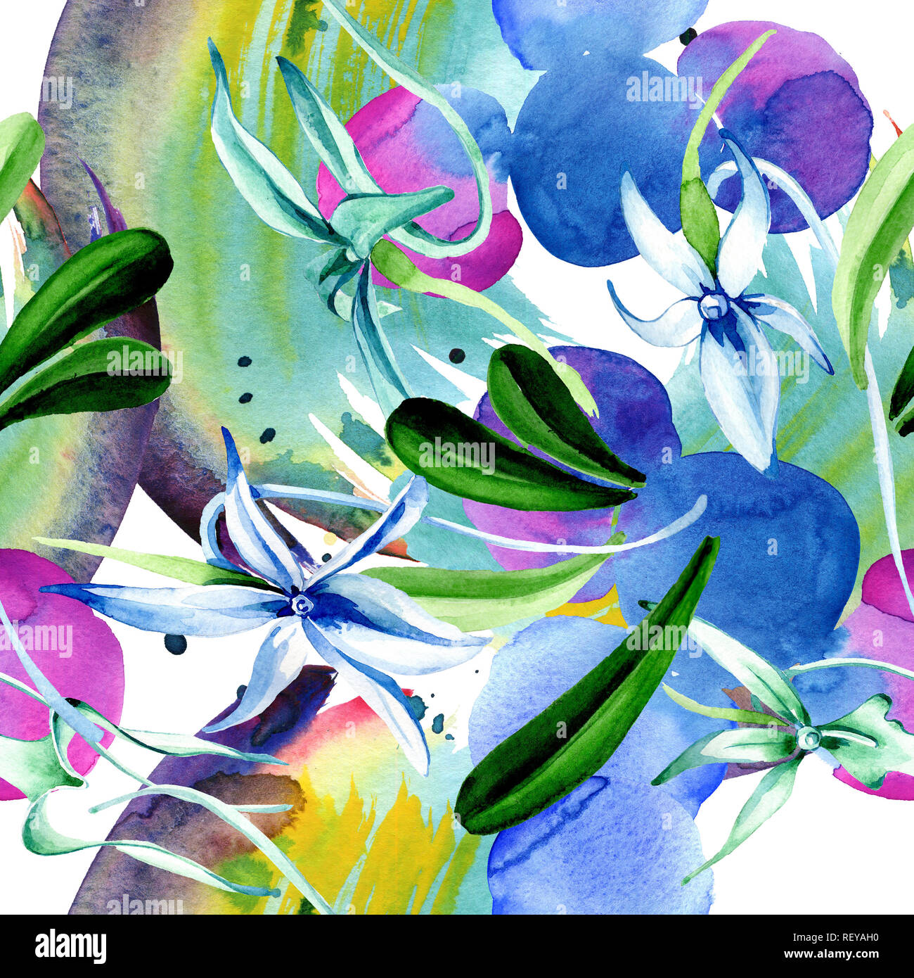 Blue orchidée rare. Botanique Floral fleur. Lame de ressort sauvages. Illustration à l'aquarelle. Aquarelle Dessin aquarelle mode isolé. Bac transparent Banque D'Images