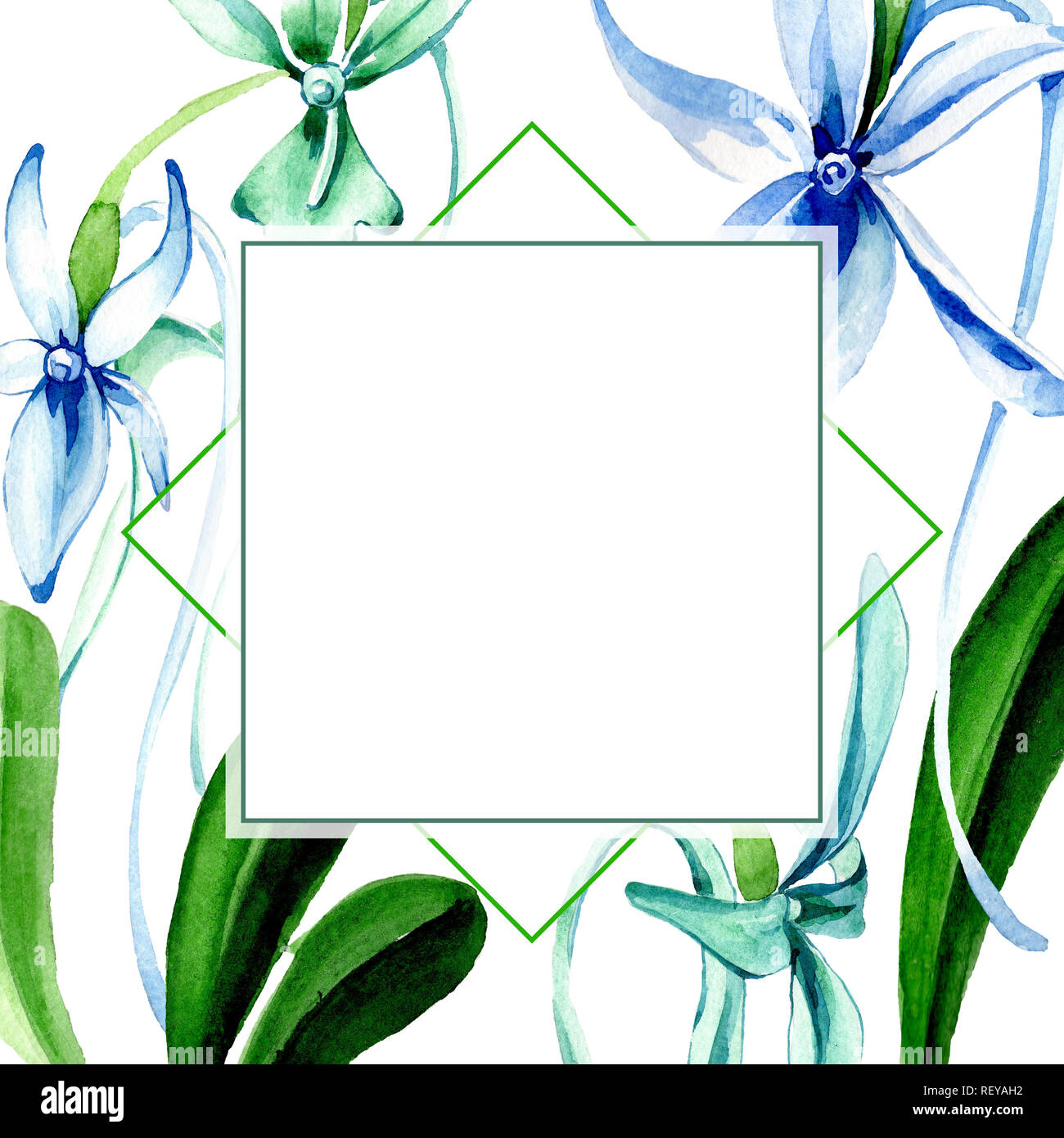 Blue orchidée rare. Botanique Floral fleur. Lame de ressort sauvages isolés de fleurs sauvages. Contexte aquarelle illustration set. Un mode de dessin aquarelle Banque D'Images